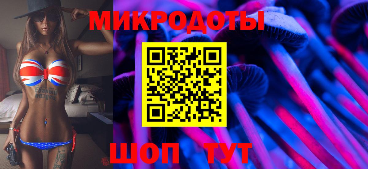 Галлюциногенные грибы Psilocybe  Вход с VPN  Отрадное 